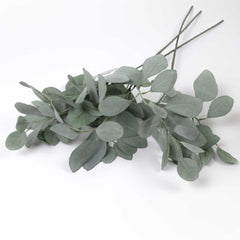 Eucalyptus Silver Dollar Spray 60cmH Eucalyptus Silver Dollar Spray 60cmH