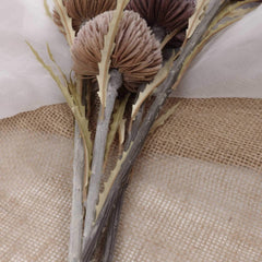 Artificial Banksia Sawtooth 63cmH Artificial Banksia Sawtooth 63cmH