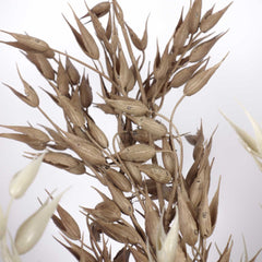 Artificial Wheat Spray 63cmH Artificial Wheat Spray 63cmH