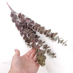 Dried-look Eucalyptus Long Spray 87cmH Dried-look Eucalyptus Long Spray 87cmH