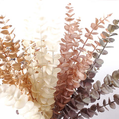 Dried-look Eucalyptus Long Spray 87cmH Dried-look Eucalyptus Long Spray 87cmH