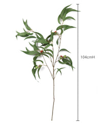 Eucalyptus Gumnut Branch 104cmH Eucalyptus Gumnut Branch 104cmH