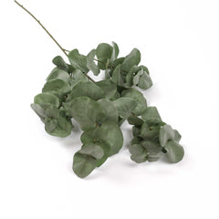 Eucalyptus Big Leaf Spray 90cmH Eucalyptus Big Leaf Spray 90cmH