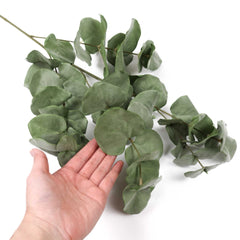 Eucalyptus Big Leaf Spray 90cmH Eucalyptus Big Leaf Spray 90cmH