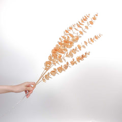 Dried-look Eucalyptus Long Spray 87cmH Dried-look Eucalyptus Long Spray 87cmH