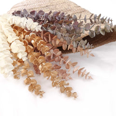 Dried-look Eucalyptus Long Spray 87cmH Dried-look Eucalyptus Long Spray 87cmH