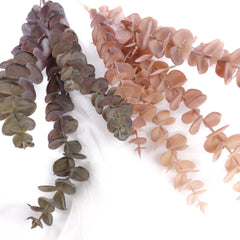 Dried-look Eucalyptus Long Spray 87cmH Dried-look Eucalyptus Long Spray 87cmH
