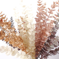 Dried-look Eucalyptus Long Spray 87cmH Dried-look Eucalyptus Long Spray 87cmH