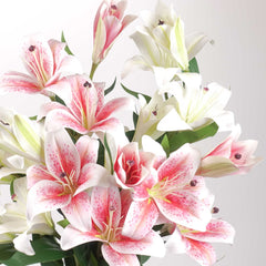 3 Heads Artificial Lily Flower 70cmH 3 Heads Artificial Lily Flower 70cmH