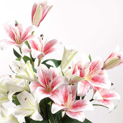 3 Heads Artificial Lily Flower 70cmH 3 Heads Artificial Lily Flower 70cmH