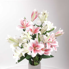 3 Heads Artificial Lily Flower 70cmH 3 Heads Artificial Lily Flower 70cmH