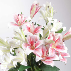 3 Heads Artificial Lily Flower 70cmH 3 Heads Artificial Lily Flower 70cmH