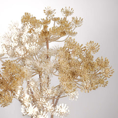 Artificial Queen Anne's Lace 74cmH Artificial Queen Anne's Lace 74cmH