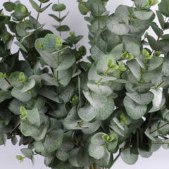 Artificial Eucalyptus Spray 88cmH Artificial Eucalyptus Spray 88cmH