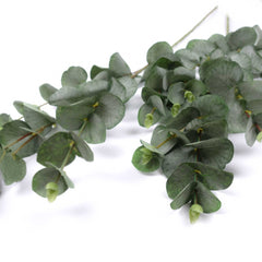 Artificial Eucalyptus Spray 88cmH Artificial Eucalyptus Spray 88cmH