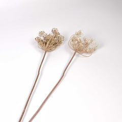 Artificial Queen Anne's Lace 74cmH Artificial Queen Anne's Lace 74cmH