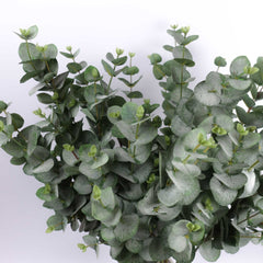 Artificial Eucalyptus Spray 88cmH Artificial Eucalyptus Spray 88cmH