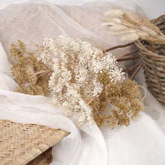Artificial Queen Anne's Lace 74cmH Artificial Queen Anne's Lace 74cmH