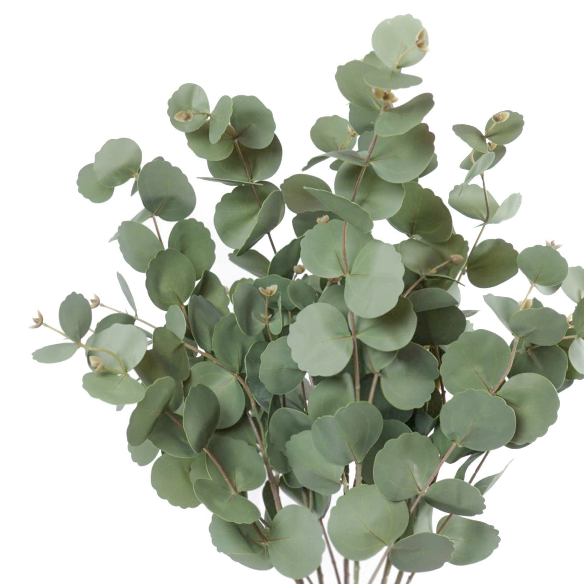 Real Touch Silver Dollar Eucalyptus Spray 88cmH Jfloral real-touch-silver-dollar-eucalyptus-spray-88cmh-jfloral