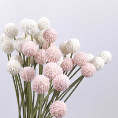 7 Heads Artificial Billy Button Spray 62cmH 7 Heads Artificial Billy Button Spray 62cmH
