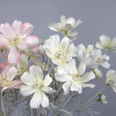 6 Heads Artificial Cosmos Flower 60cmH 6 Heads Artificial Cosmos Flower 60cmH