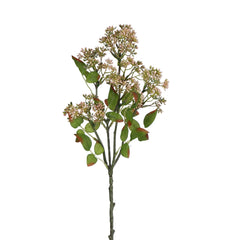 Skimmia Spray in Pink Green 58cmH