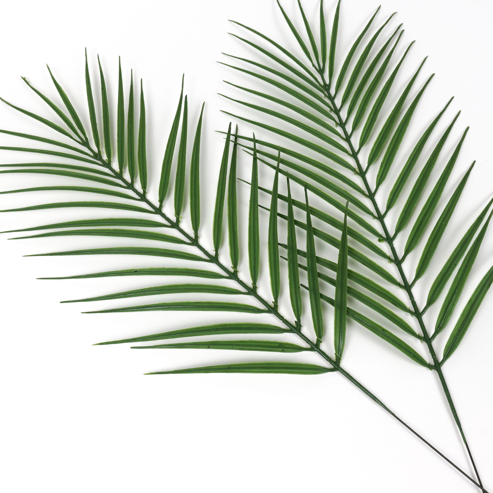 2pcs Artificial Tropical Areca Palm Leaf 56cmH Faux Palm Leaf Fake Tropical Leaves