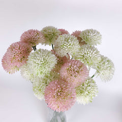 Allium Flower Stem 60cmH