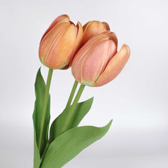 3 Stems Tulip Bunch 49cmH