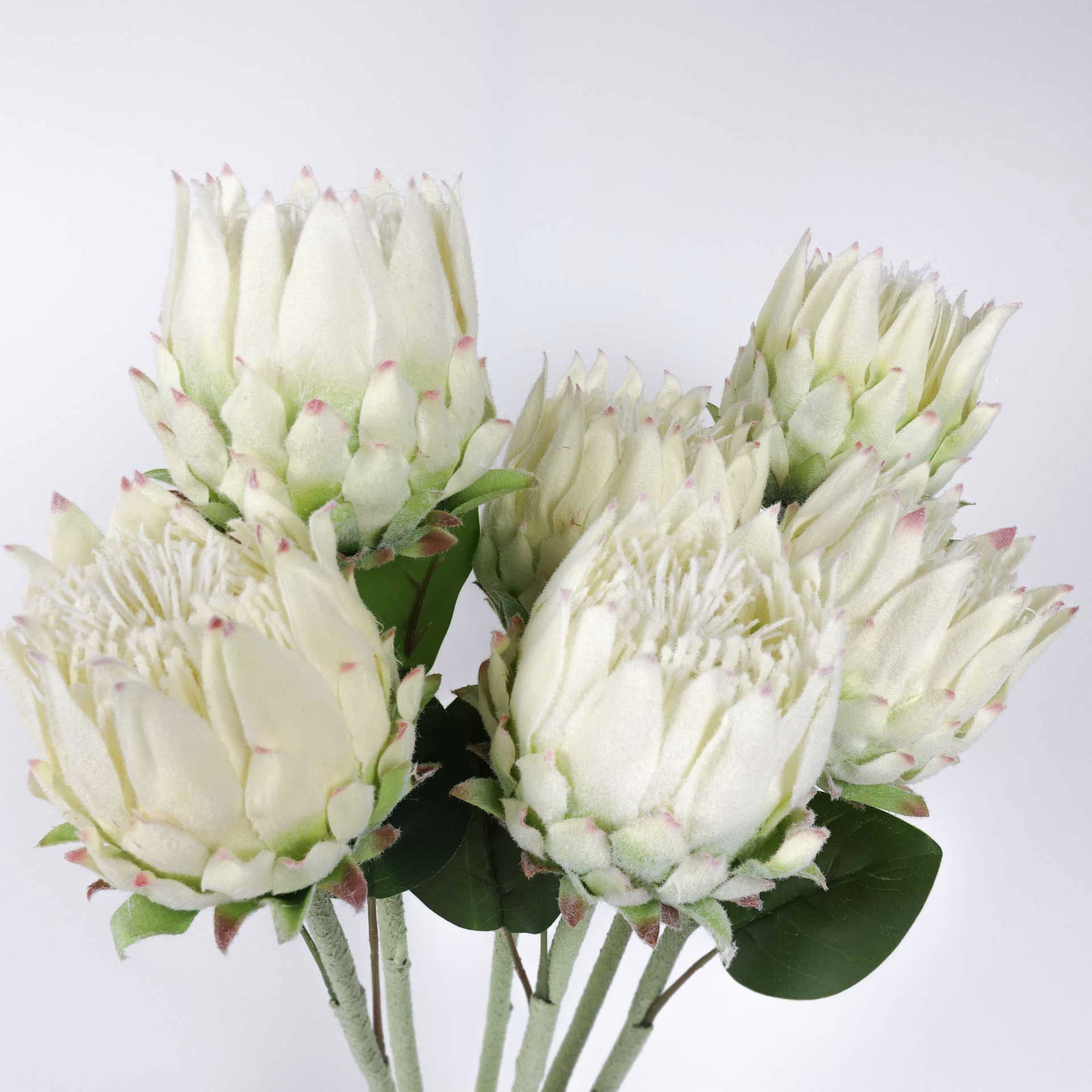 Artificial Protea Stem White Protea