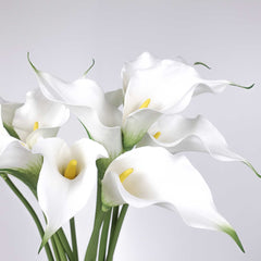 Real-touch Calla Lily Single Stem 60cmH