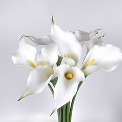 Real-touch Calla Lily Single Stem 60cmH