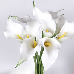 Real-touch Calla Lily Single Stem 60cmH