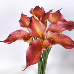 Real-touch Calla Lily Single Stem