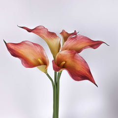 Real-touch Calla Lily Single Stem