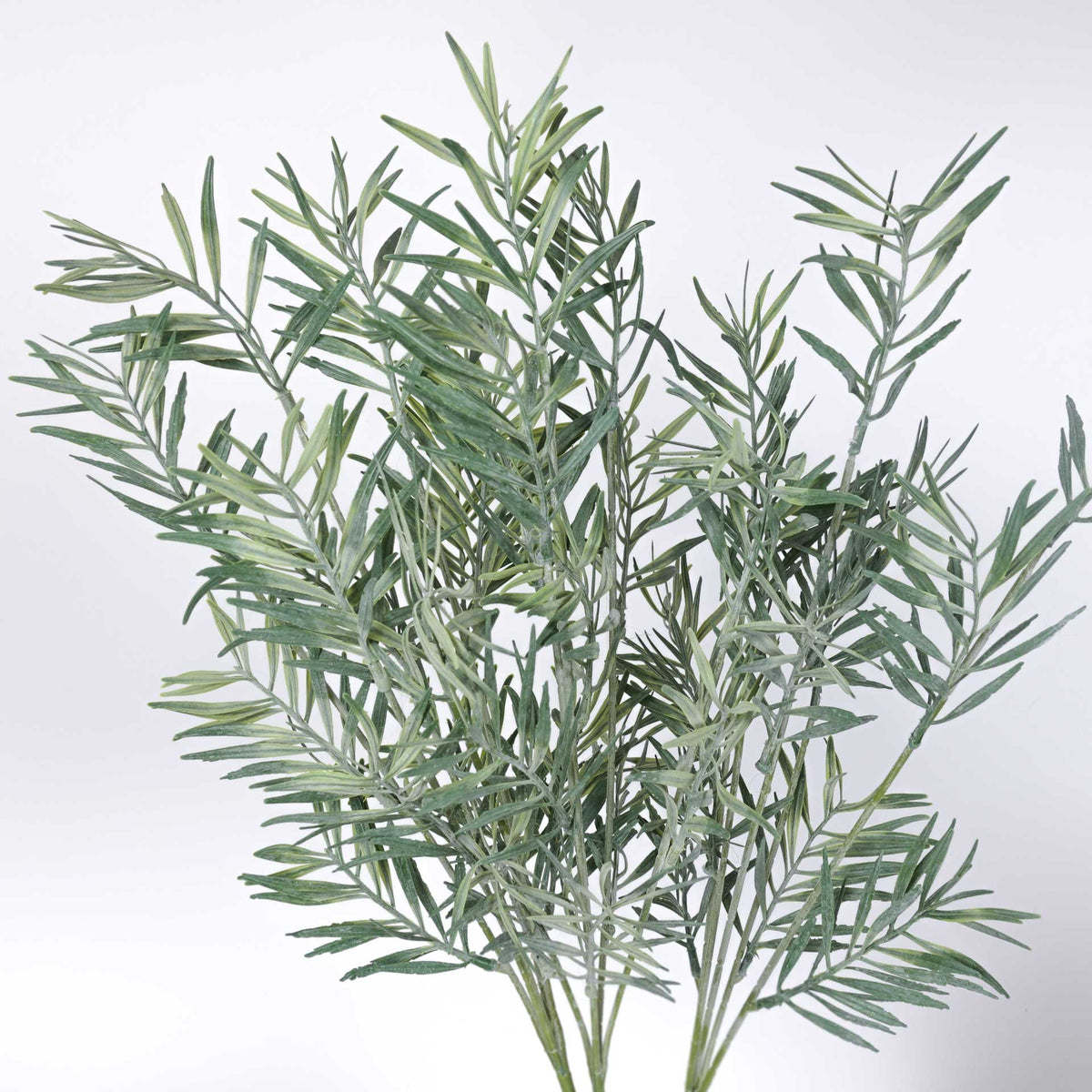 Grevillea Leaf Spray 68cmH