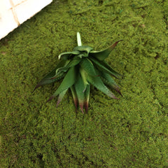 Artificial Succulent (Type 17) Aloe Succulent