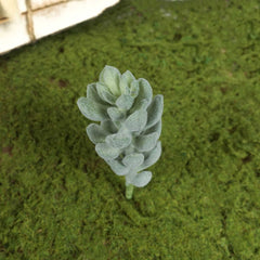 Artificial Succulent (Type 16)