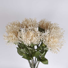 Big-head Leucospermum Pincushion Stem 70cmH