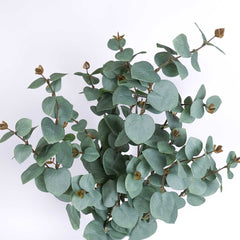 Eucalyptus Long Spray 110cmH