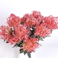 7 Heads Leucospermum Pincushion Bush 45cmH