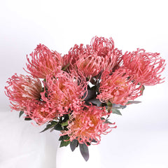 7 Heads Leucospermum Pincushion Bush 45cmH