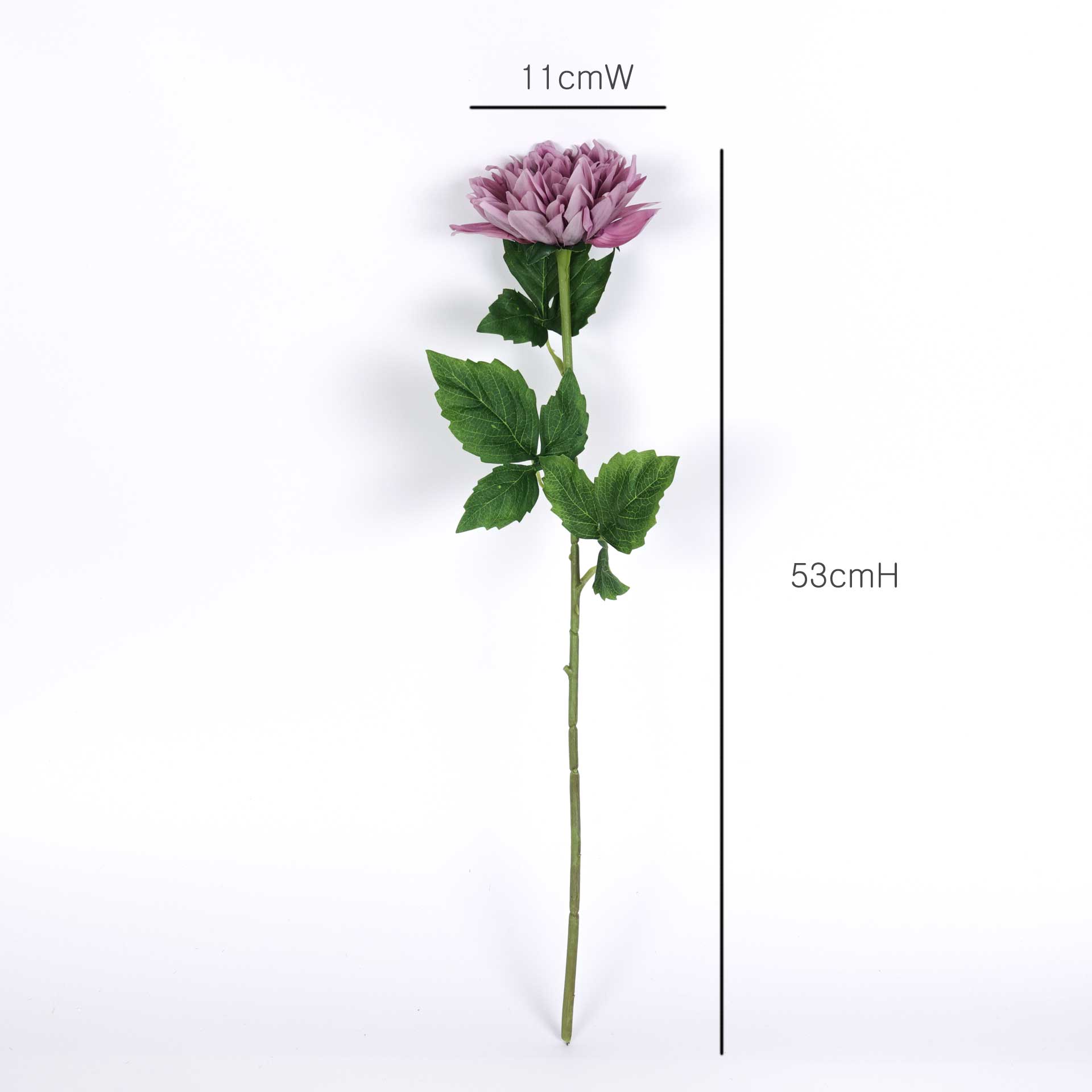 Real touch Dahlia Stem Measurement