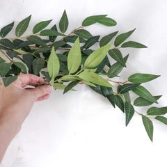 Ruscus Leaf Spray 59cmH