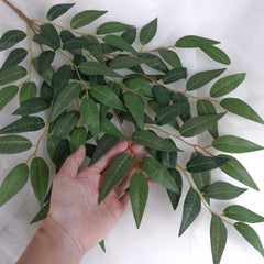 Ruscus Leaf Spray 59cmH