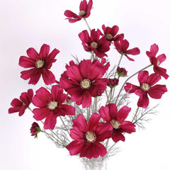 6 Heads Cosmos Flower 60cmH