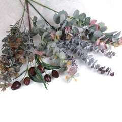 5 Stems Assorted Native Eucalyptus Greenery