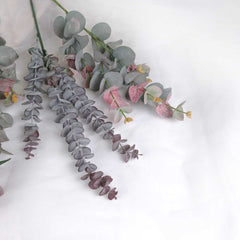 5 Stems Assorted Native Eucalyptus Greenery