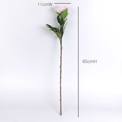 Real-touch Peony Flower Stem 65cmH