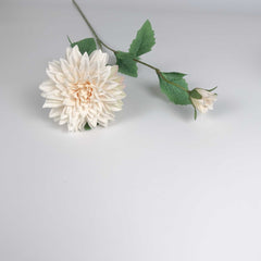 Dahlia Flower Stem Cream 65cmH